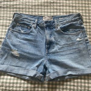 Everlane denim shorts